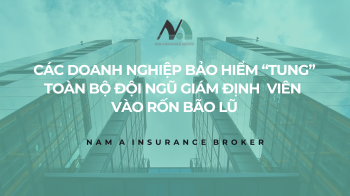 Các doanh nghiệp bảo hiểm “tung” toàn bộ đội giám định viên vào vùng rốn bão lũ